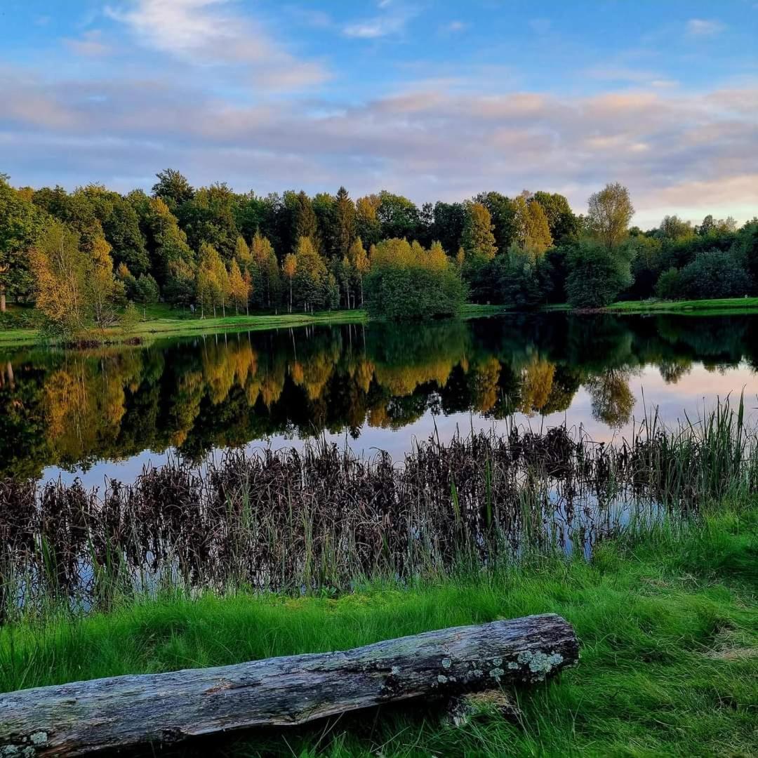 Tallhoejden Hotel & Cottage Lodge Simlangsdalen Екстер'єр фото
